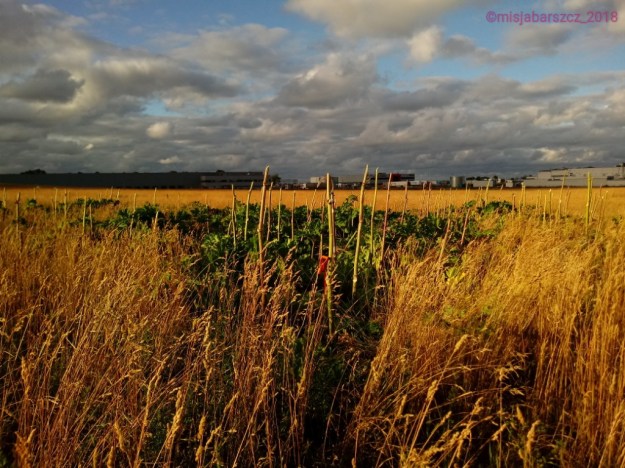 20180629_193231_HDR_wm
