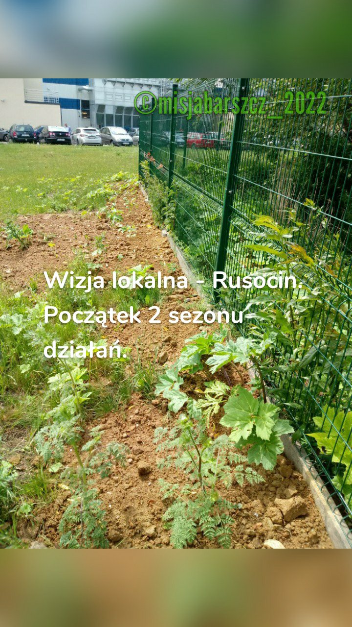 Wizja lokalna - Rusocin. Początek 2 sezonu działań.